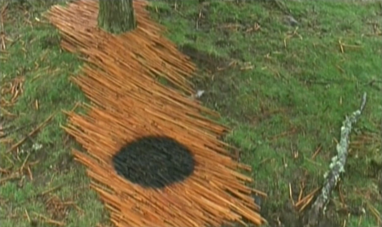 Andy goldsworthy deals rivers and tides