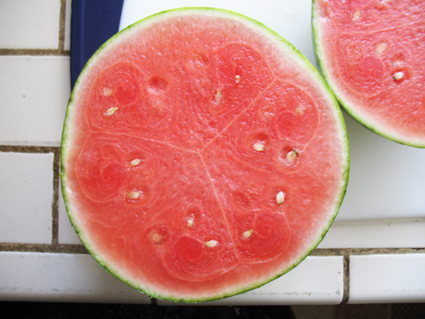 watermelon