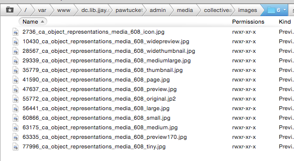 Screenshot of derative filenames from CollectiveAccess